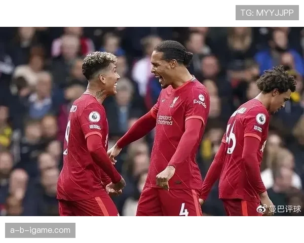 南安普顿新球场即将启用，球迷热盼精彩赛事启幕