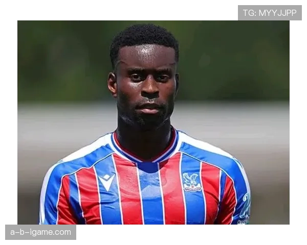 布莱顿足总杯表现稳健,竞争力持续提升 布莱顿足总杯表现稳健,竞争力持续提升